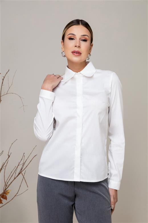 4212 CAMISA VISTA OCULTA TRICOLINE